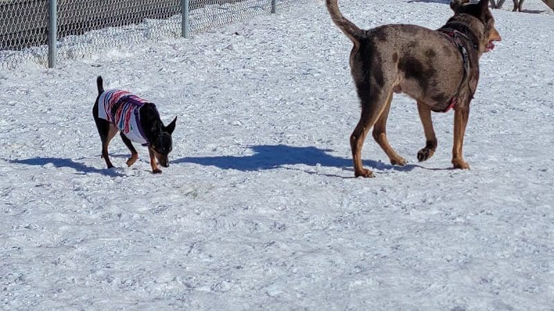 Keene Creek Dog Park - Duluth, MN