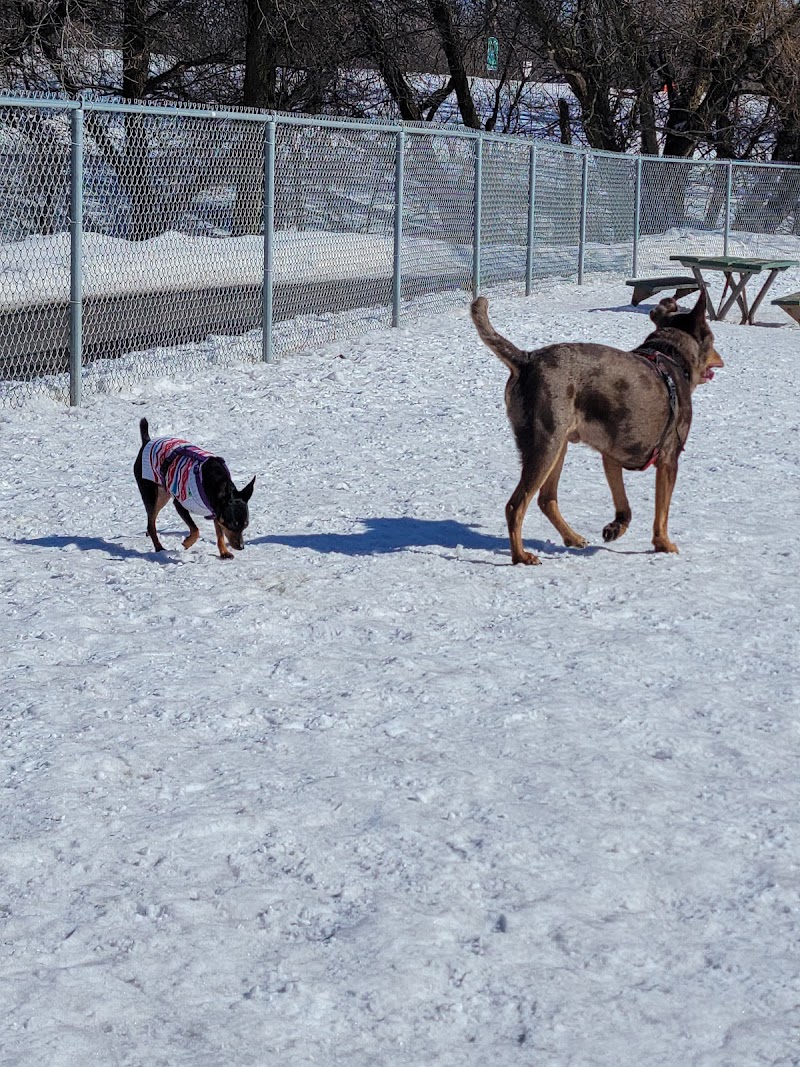 Keene Creek Dog Park - Duluth, MN