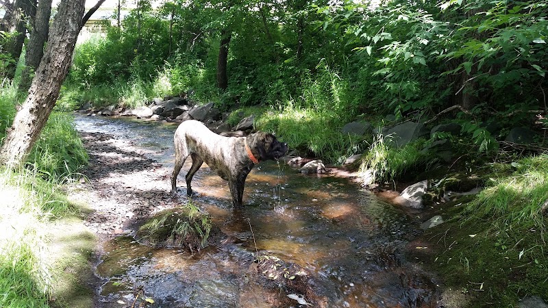 Keene Creek Dog Park - Duluth, MN