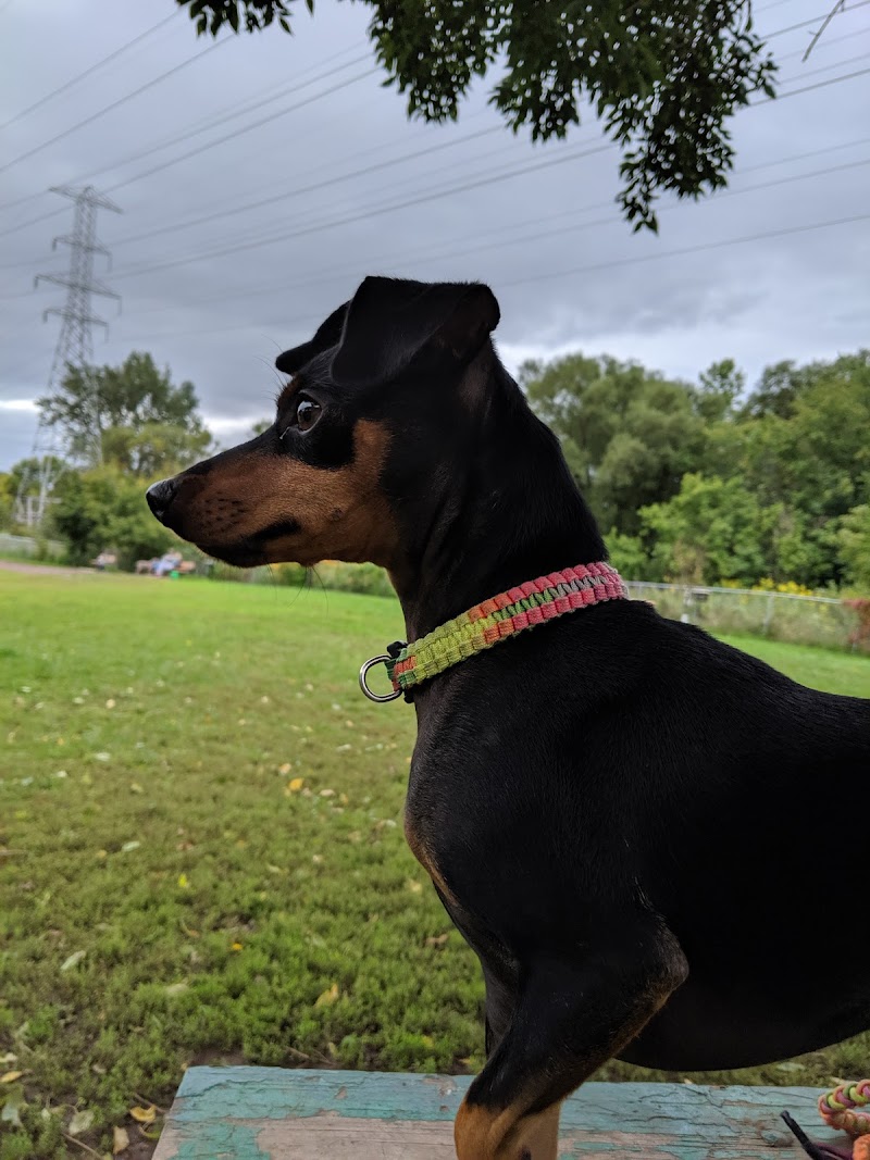Keene Creek Dog Park - Duluth, MN