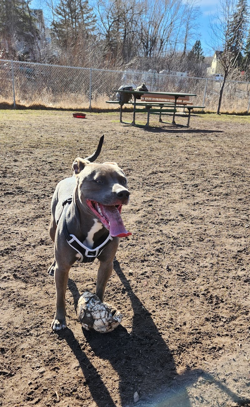 Keene Creek Dog Park - Duluth, MN