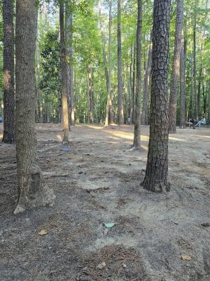 Rock Quarry Dog Park