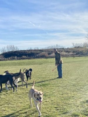 Dyer Dog Park