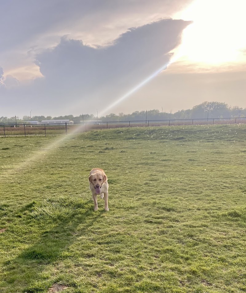 Dyer Dog Park - Dyer, IN