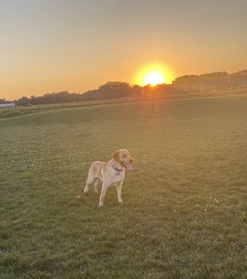 Dyer Dog Park - Dyer, IN