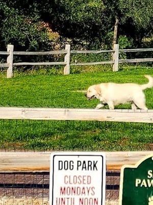 Eagle Small Dog Park