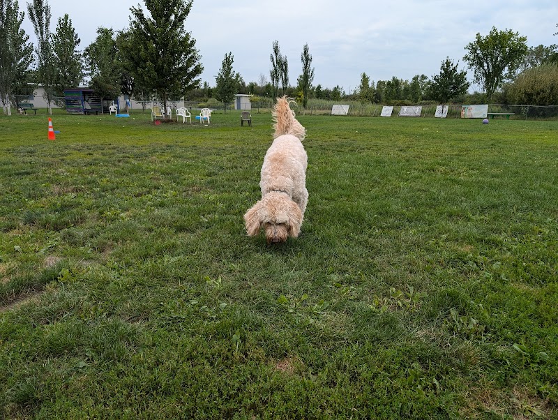 Smith Road Paw Park - East Amherst, NY