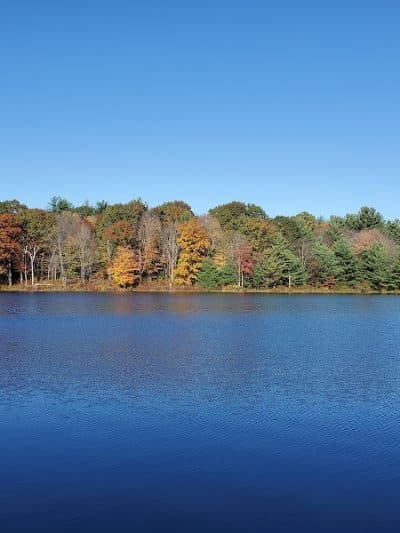Hand Hollow - East Chatham, NY
