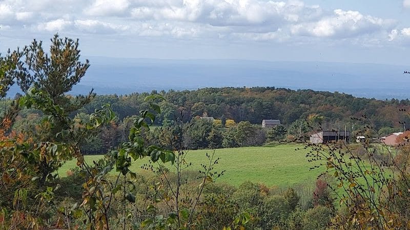 Schor - East Chatham, NY