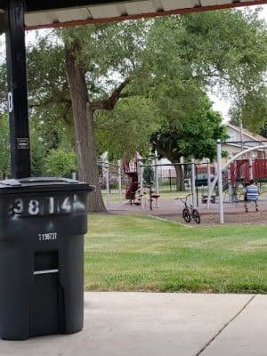 Tod Park