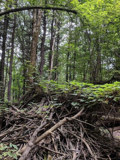 East Greenbush Town Park - East Greenbush, NY