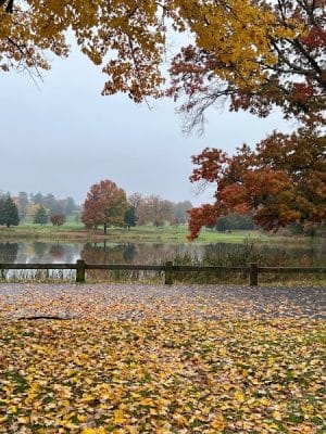 Goodwin Park