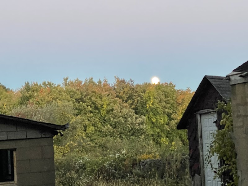 Goodwin Park - East Hartford, CT