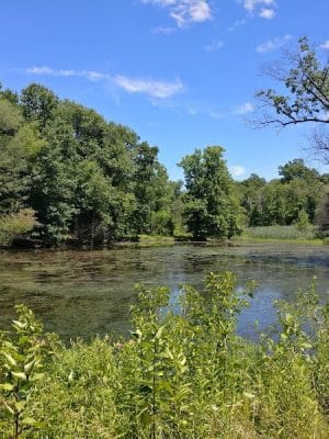 Gorman Park
