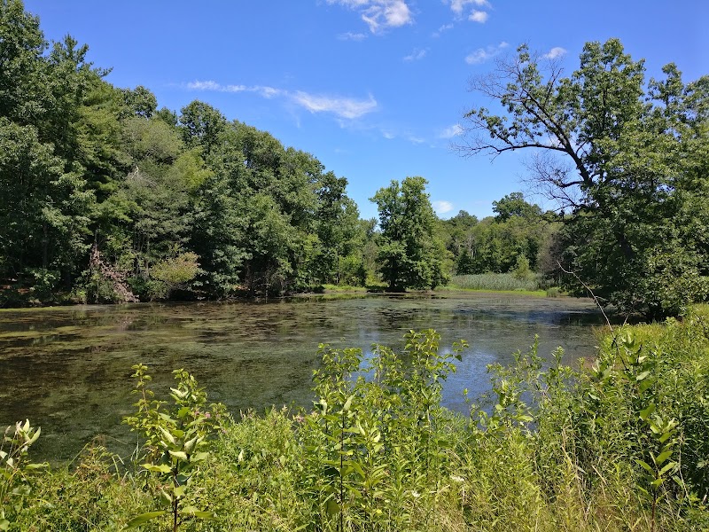 Gorman Park - East Hartford, CT