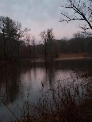 Gorman Park