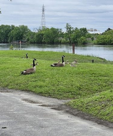 Great River Park