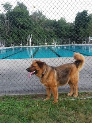 Hockanum Park