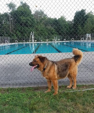 Hockanum Park