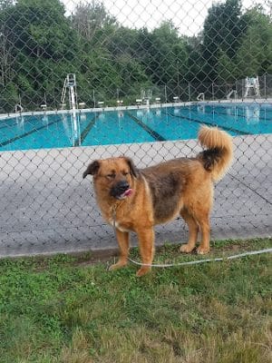 Hockanum Park