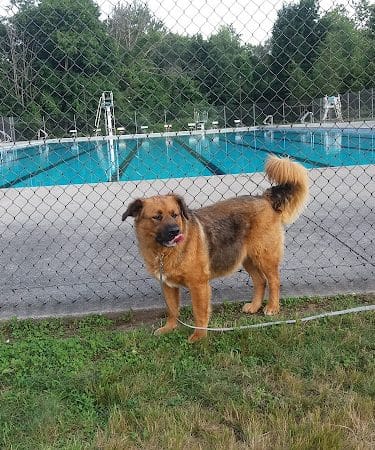 Hockanum Park