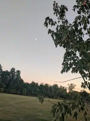 Hockanum Park
