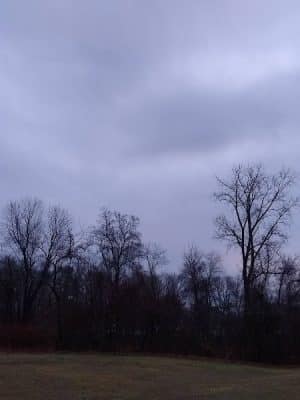 Hockanum Park