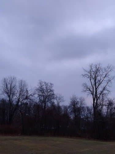 Hockanum Park
