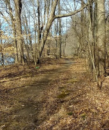 Hockanum River Linear Park