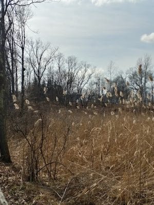 Hockanum River Linear Park