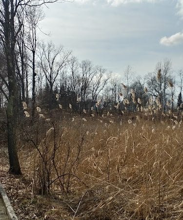 Hockanum River Linear Park