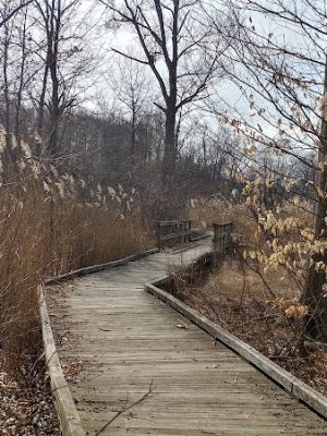 Hockanum River Linear Park