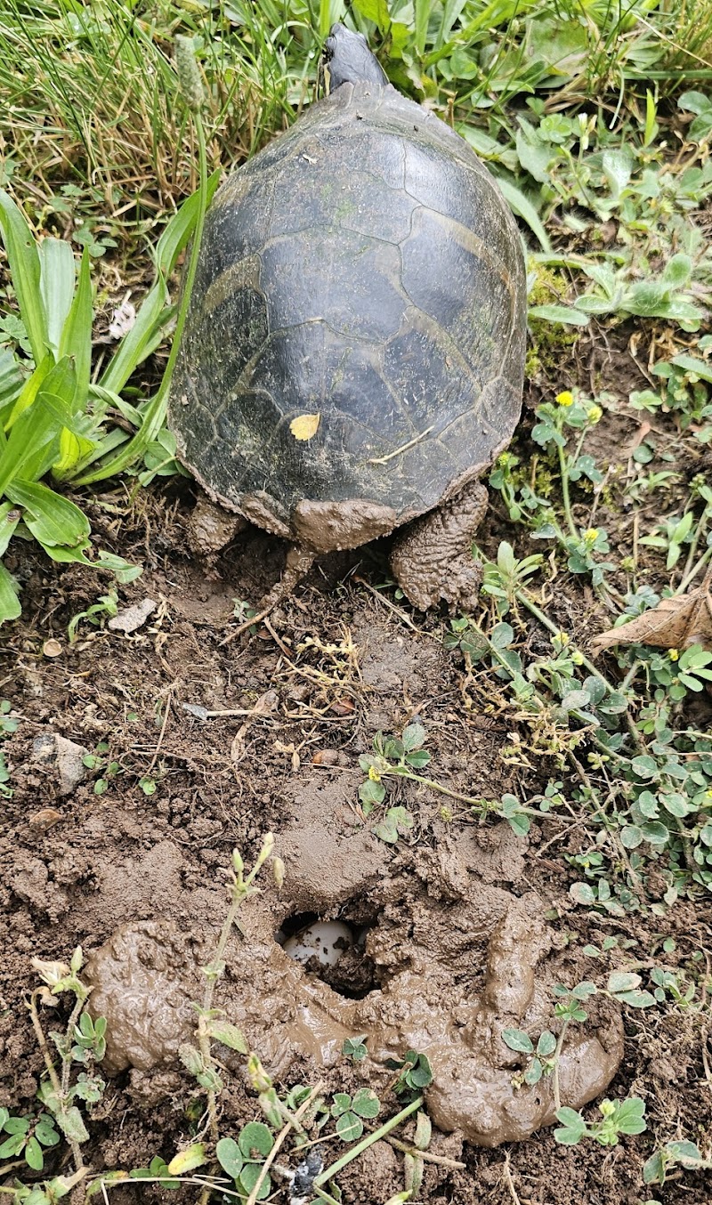 Hockanum River Linear Park - East Hartford, CT