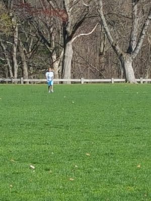 Martin Park