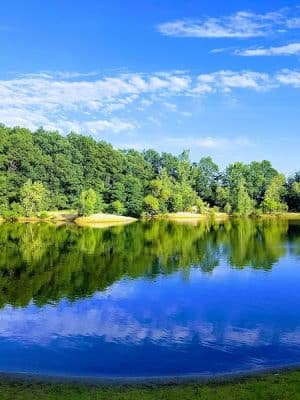 P&F Private Pond