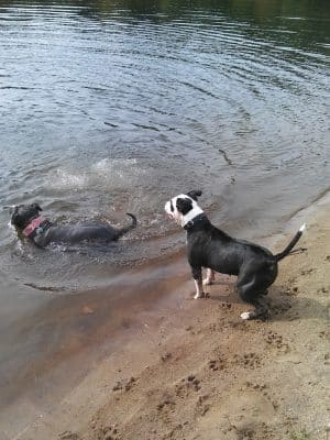 P&F Private Pond