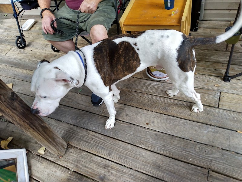 Pack Leaders Rescue of CT - East Hartford, CT