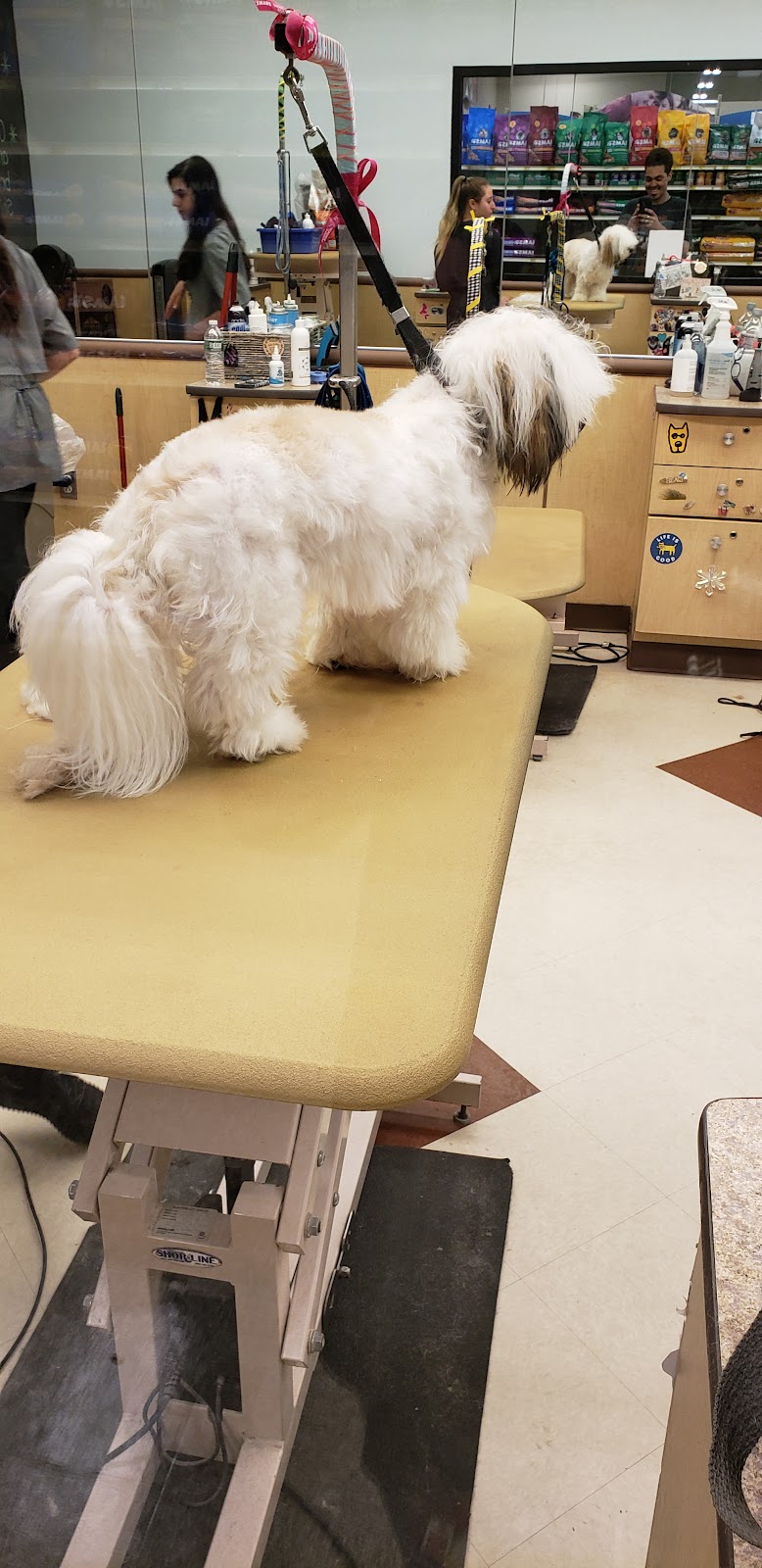 PetSmart - East Hartford, CT