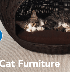 PetSmart