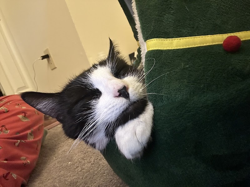 POA Spay - East Hartford, CT