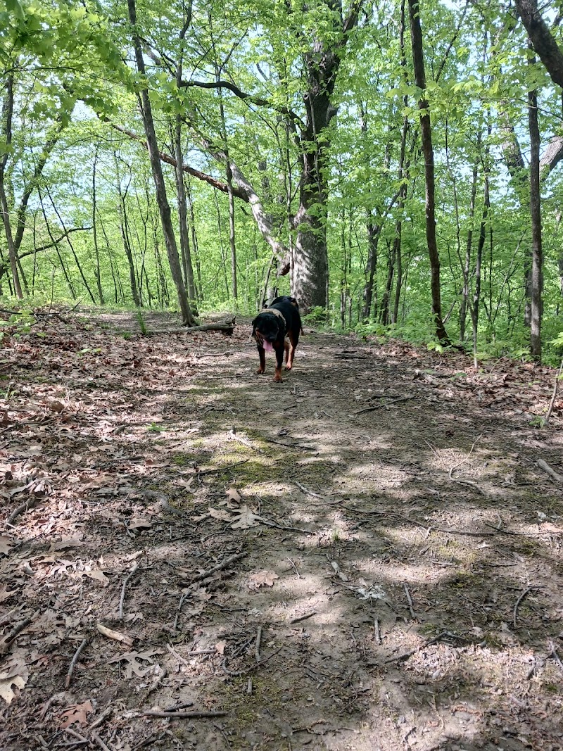 Brady Park - East Peoria, IL