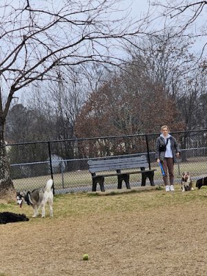 East Ridge Dog Park
