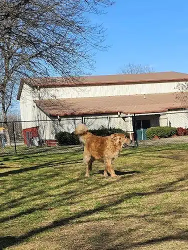 East Ridge Dog Park