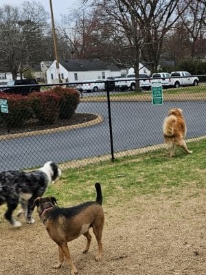 East Ridge Dog Park