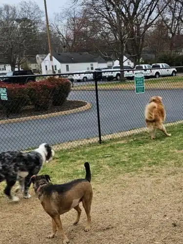 East Ridge Dog Park