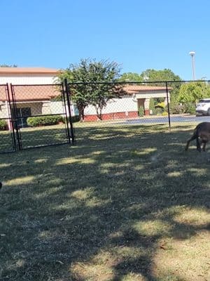 East Ridge Dog Park