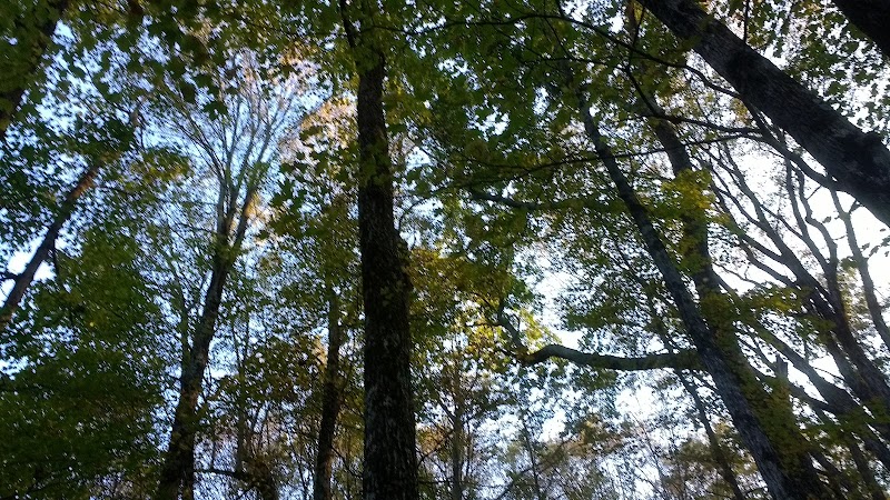 Schodack Town Park - East Schodack, NY