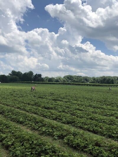 Anker Park - East Windsor, NJ