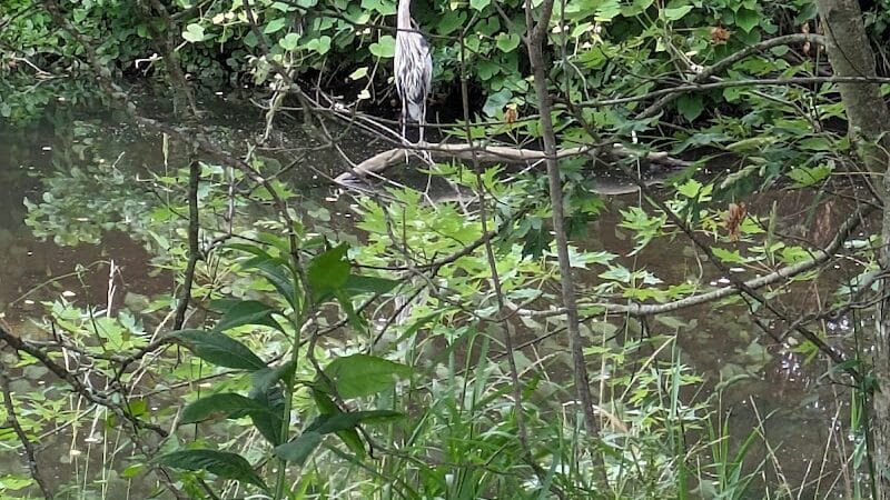 Anker Park - East Windsor, NJ