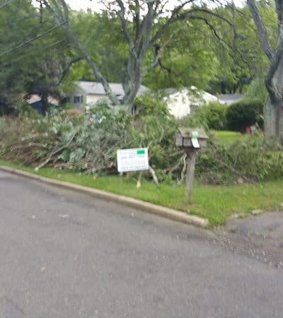 Bear Brook - East Windsor, NJ